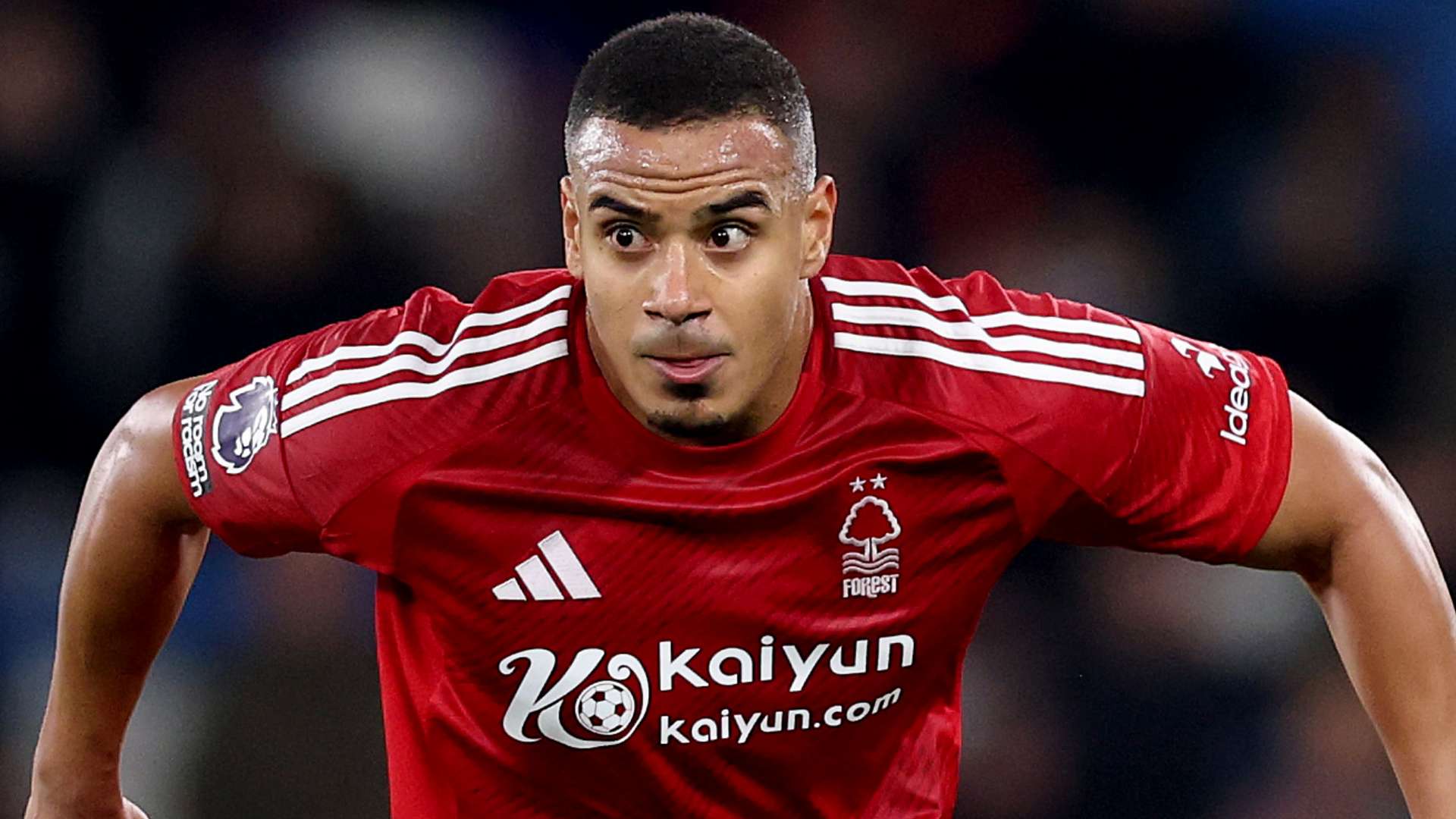 个人的完美 个人的完美